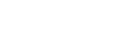 danieliautoservizi